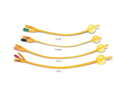 Foley Catheter
